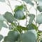 4ft. Pre-Lit Artificial Eucalyptus Tree with Warm White LED Lights